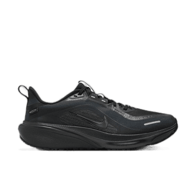 Nike Pegasus 42 GORE-TEX