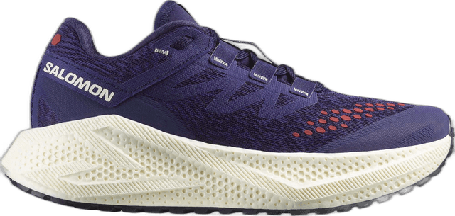 Salomon Aero Glide 3 GRVL