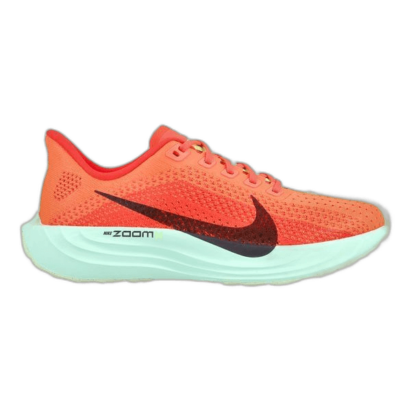 Nike Pegasus Plus