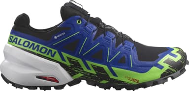 Salomon Spikecross 6 GORE-TEX - black surf the web green gecko
