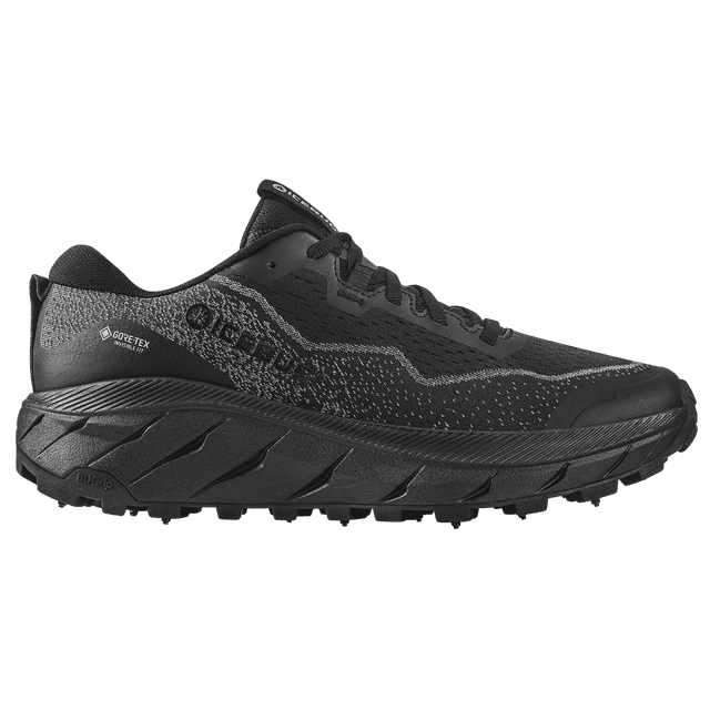 Icebug Rubus 2 BUGrip GORE-TEX