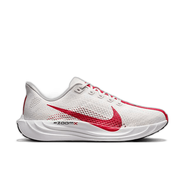 Nike Pegasus Plus