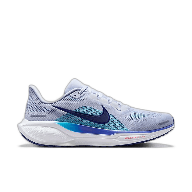 Nike Pegasus 41