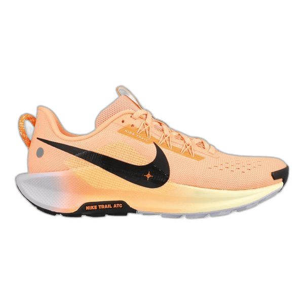 Nike Pegasus Trail 5