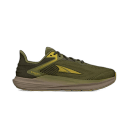 dusty olive