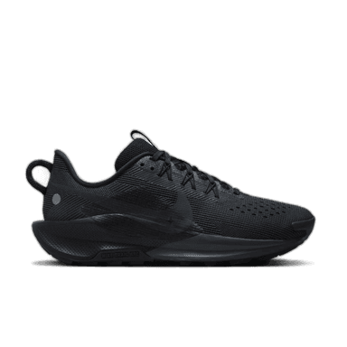 Nike Pegasus Trail 5 - black anthracite-wolf grey