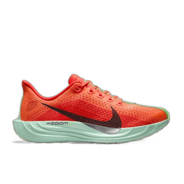 Nike Pegasus Plus