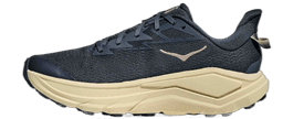 fyp faded navy pampass grass