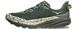 fern asphalt grey