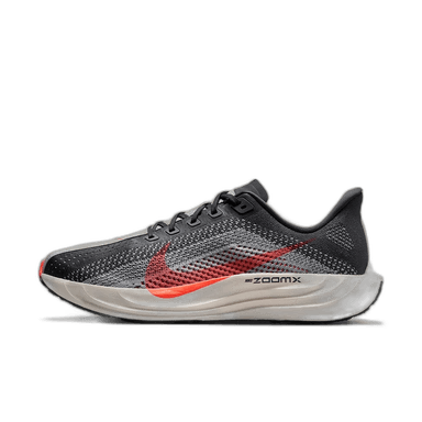 Nike Pegasus Plus - black gray red (2)