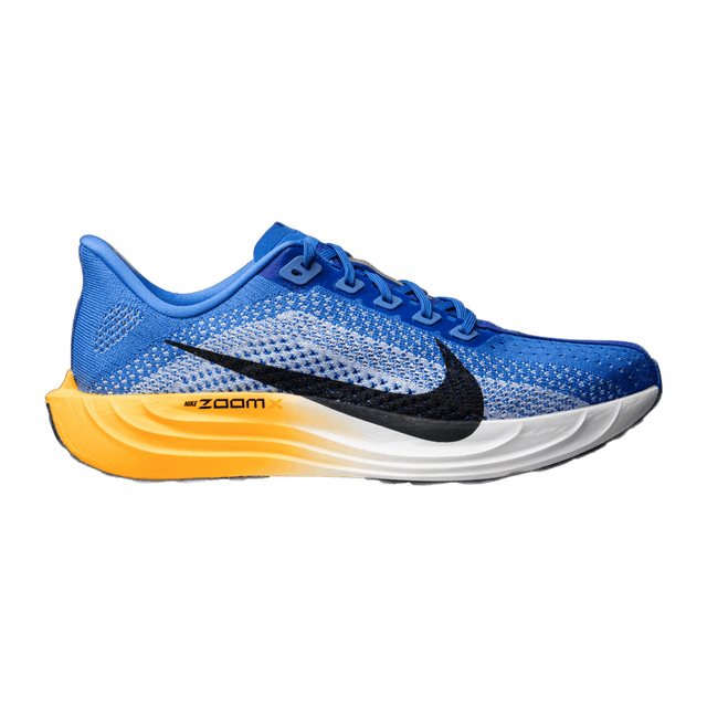 Nike Pegasus Plus
