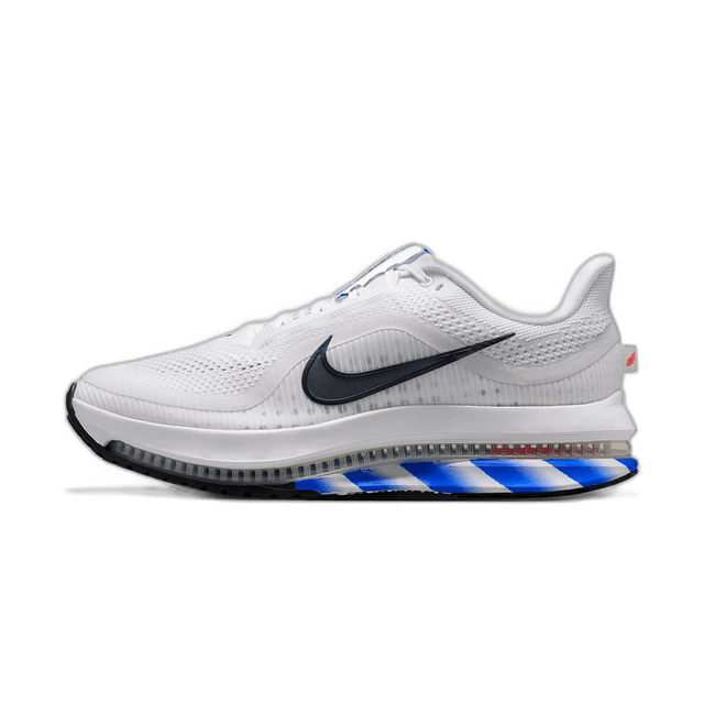 Nike Pegasus Premium