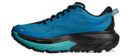 bcq black electric aqua